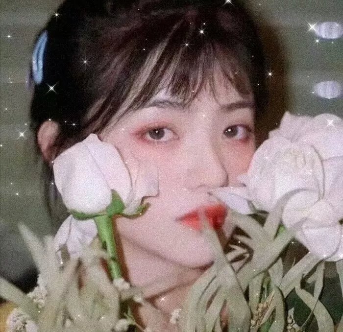 灵通汪星人